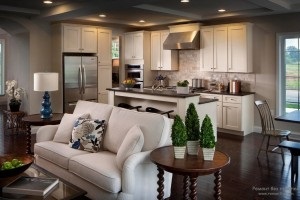 Design konyha-nappali sikeres megoldások egy modern lakáshoz