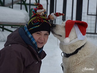 Câini de formare în Krylatskoye de la 1600 de ruble! Apăsați!