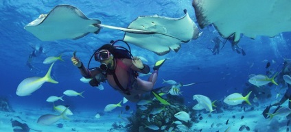 Excursie la Insulele Similan din Phuket cost, cum să ajungi acolo, fotografie