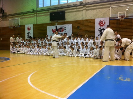 Examen pe karate - avanpost nkk