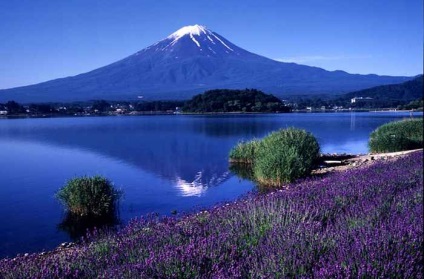 Fuji Sacred Mountain of Japan mituri și legende