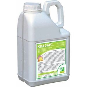 Erbicide pentru porumb - care sunt mai bine de utilizat, recenzii