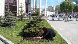 Ecologizarea orașului a străzilor din Ekaterinburg