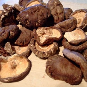 Shiitake ciuperci descriere, beneficii, proprietăți medicinale