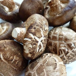 Shiitake ciuperci descriere, beneficii, proprietăți medicinale