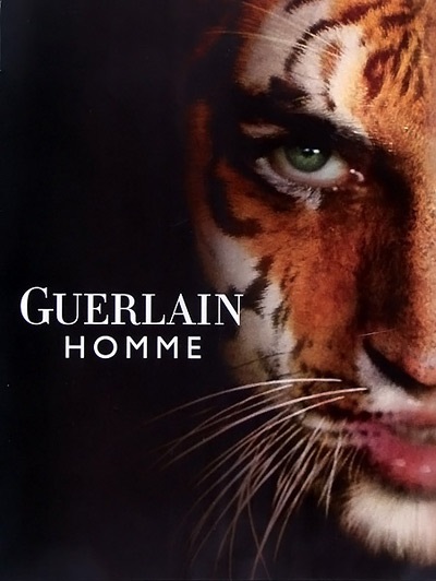 Guerlain pour homme - un parfum masculin modern - prospețime fără sfârșit - de la domiciliu