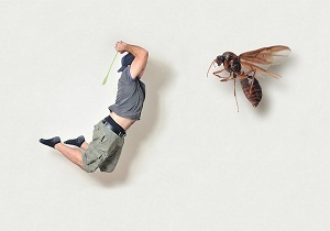 Cum să scapi de muște într-un apartament și să distrugi ovipoziția insectelor