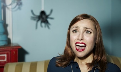 Cum să scapi de păianjeni într-un apartament