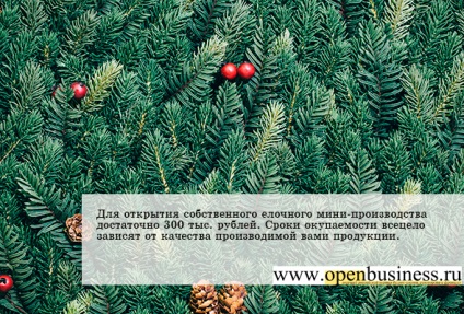 Cum de a deschide o afacere pentru producția de pomi artificiali de Crăciun
