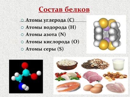 Який протеїн найкращий для росту м'язів топ-5 природних білків