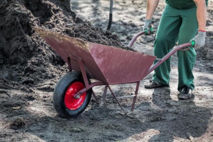 Cum de a pregăti o seră pentru grădinari de iarnă sfaturi utile pentru grădinari