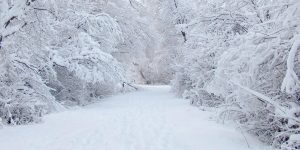 Cum de a alege încălzitorul de apă potrivit