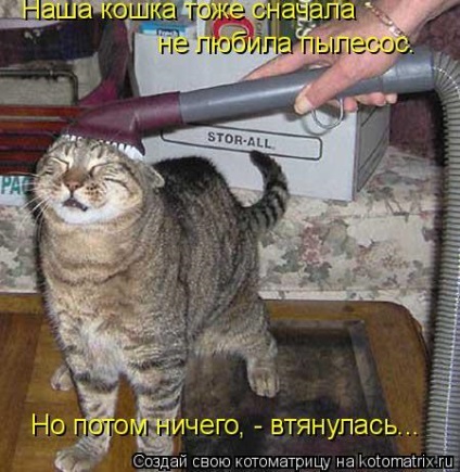 Cum să obișnuiți o pisică cu un aspirator, astfel încât să nu vă fie frică