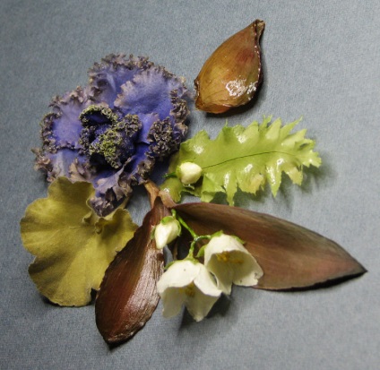 Hogyan lehet megőrizni a virág eredeti formában kísérleteket egy háromdimenziós herbárium létrehozásáról?