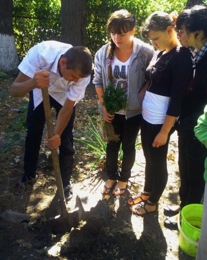 Cum să decorezi o școală școlară - biologie, lecții