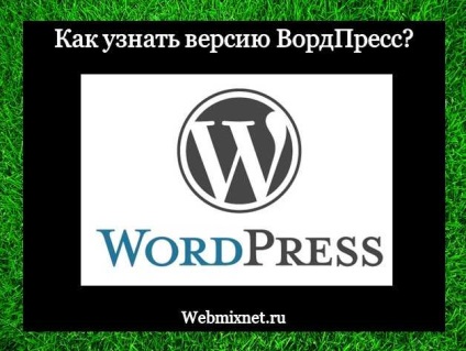 Cum de a afla versiunea blogului wordpress