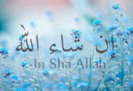 Cum a arătat sigiliul profeției pe spatele Trimisului lui Allah (ﷺ)