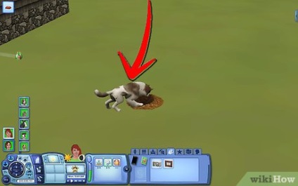 Cum să faci o mulțime de bani în sims 3 fără a lucra și nu folosind cheat coduri