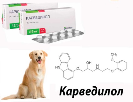 Karvedilol (karvedilol) kezelési útmutató emberekben, kutyáknál, macskáknál