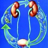 Klebsiella - infecție intestinală și remedii folclorice - bisturiu - medical