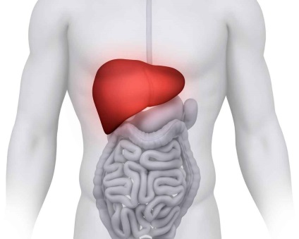 Clinici de transplant hepatic în Germania - 5 clinici specializate, prețuri, recenzii, transplant hepatic