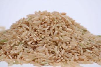 Barna és fehér rizs hasonlóságok és különbségek