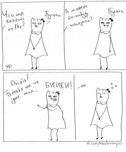 Cat kotechka és tipikus problémái, minden nő számára ismerősek - egy site - egy online vicc fotója,