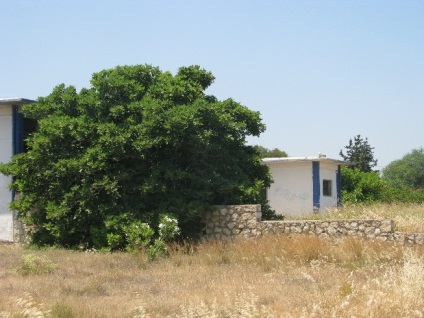 Acvariu cretan, site de acvariu