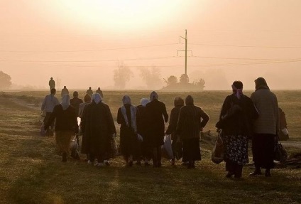 Cine este un Pilgrim (8 litere)