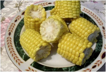Kukorica a multimark redmondban