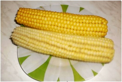 Kukorica a multimark redmondban