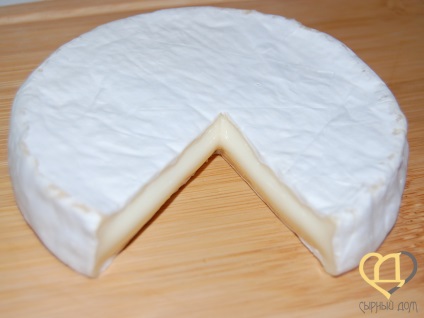 A sajtok kultúrái sajtokhoz, összetevők a sajtkészítéshez, a sajtkészítő ház mind az otthoni sajtkészítéshez