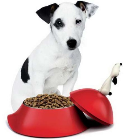 Cumpărați un castron pentru un câine în Sankt Petersburg pe un suport, pe un trepied, boluri ceramice ieftine