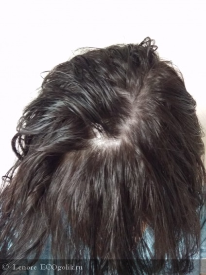 Loțiune pentru perfuzarea părului împotriva căderii rețetelor bunică agafia - recenzie ecoblocher lenore