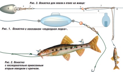 Prinderea de stinghie pe Zhivitsa diferite tehnici, alegerea de momeală live, prinderea de la țărm, abordarea