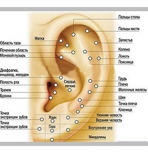 A fülmasszázs javítja az agyi keringést