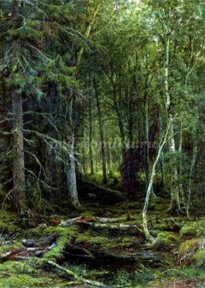 Mănăstire de pădure de molid