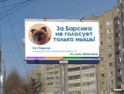 Primarul din Barnaul este oferit să facă o pisică