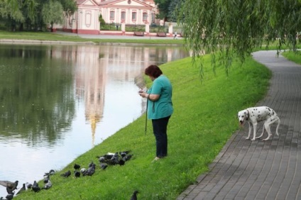 Noi cu un câine mergem în parc - un bulevard stelat, știri despre mormanul de moscow