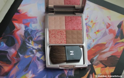 Introducerea mea la recenzii de pudra minerală shadow blush blush