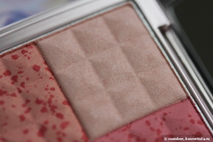 Introducerea mea la recenzii de pudra minerală shadow blush blush