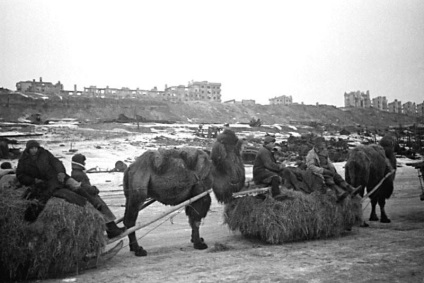 Prezentul Stalingrad