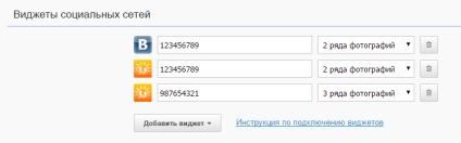 Configurarea widgeturilor rețelei sociale