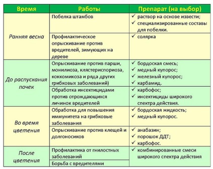 Prelucrarea strugurilor în primăvară