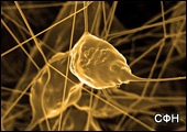 Pericolul nanomaterialelor pentru mituri de sănătate sau o nouă amenințare, nanotehnologia nanotehnologiei