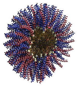Pericolul nanomaterialelor pentru mituri de sănătate sau o nouă amenințare, nanotehnologia nanotehnologiei