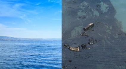 Principalele probleme de mediu ale Mării Negre