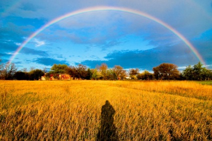 Caracteristici ale fotografiei în natură