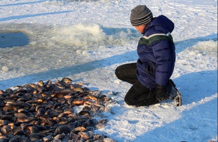 Lake Labynkyr în Yakutia Recenzii de pescuit și fotografii