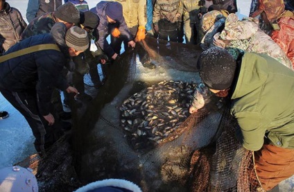 Lake Labynkyr în Yakutia Recenzii de pescuit și fotografii